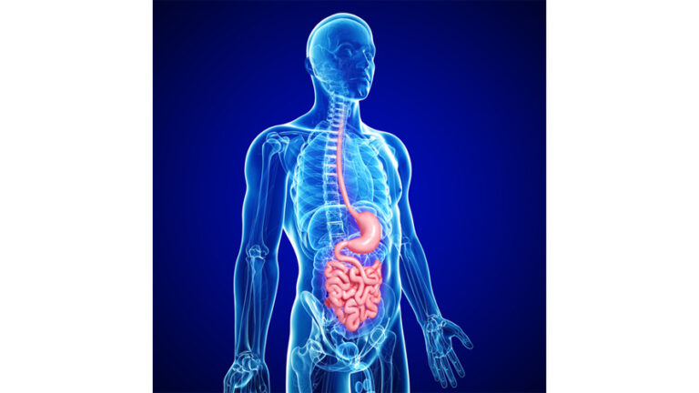 Groundbreaking Study Led by the Crohn’s & Colitis Foundation Estimates ...