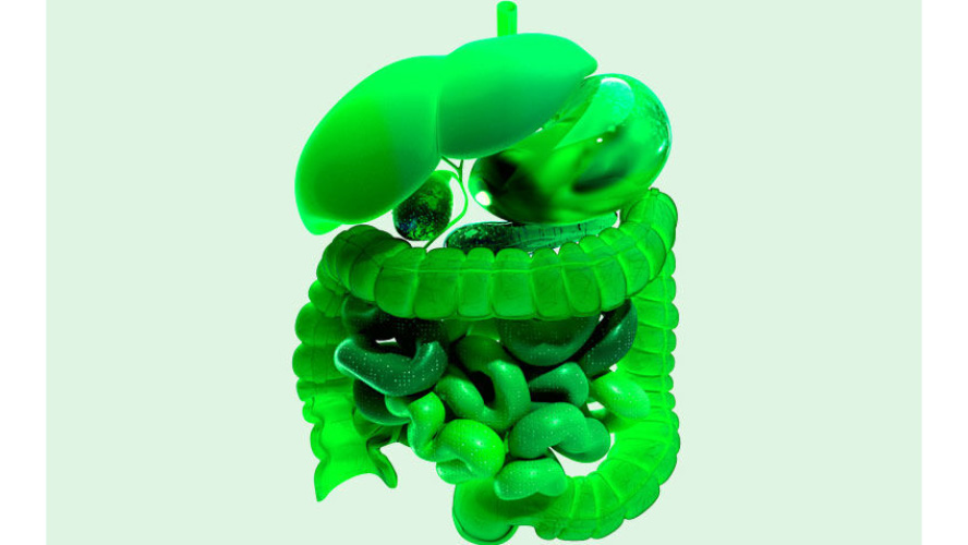Prioritising transitional care in digestive health: a UEG roadmap (Hospital Healthcare Europe) UEG roadmap