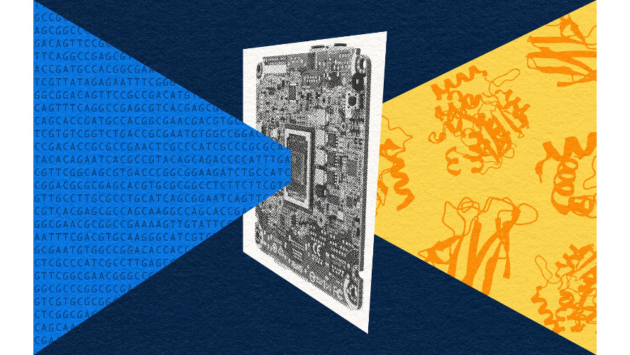 Evo 2 Can Design Entire Genomes (Asimov Press) Evo 2 Can Design Entire Genomes